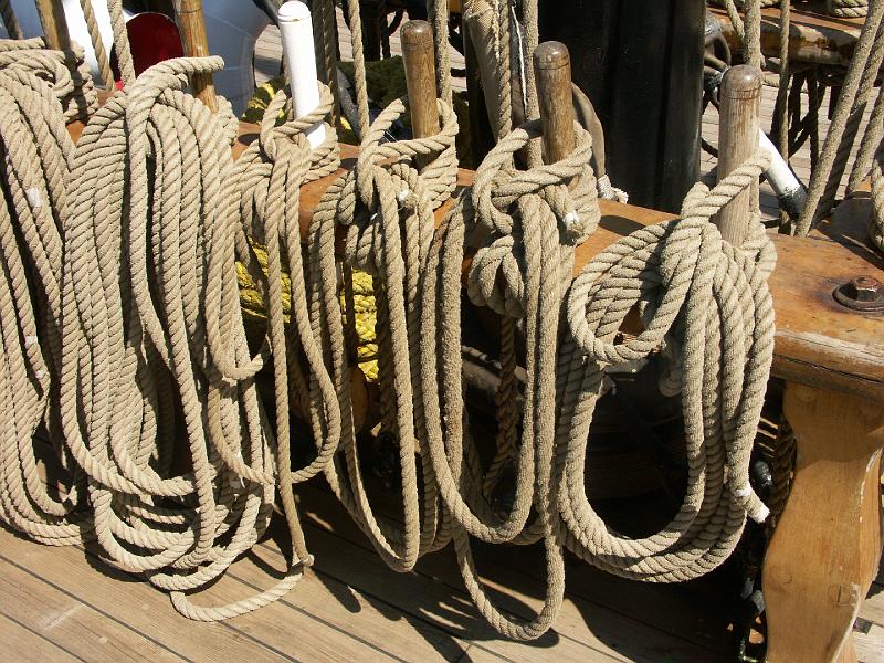 080508_Roald_Amundsen 426.jpg